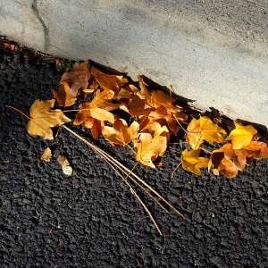 asphalt and curb slip and fall hazard