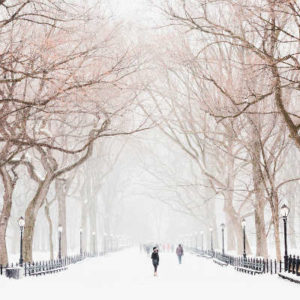 people walking through winter weather