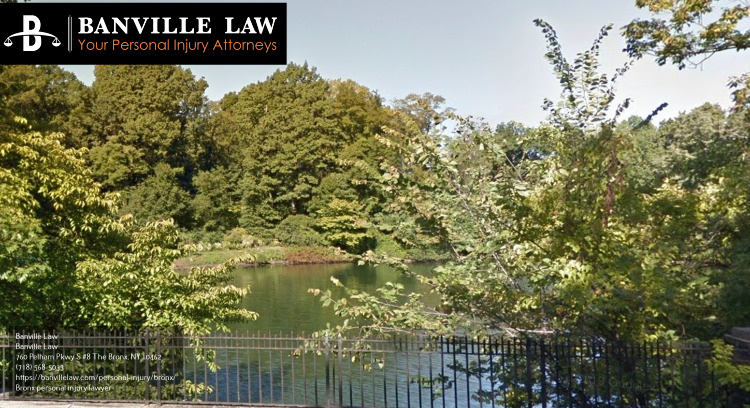 personal injury lawyer in bronx near park