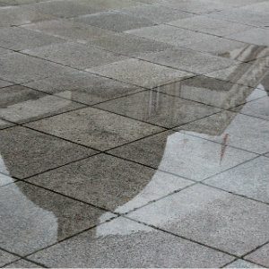 puddle that could cause slip and fall accident