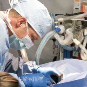 veternarian performing surgery